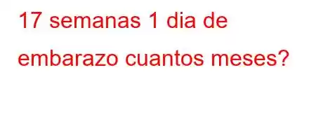 17 semanas 1 dia de embarazo cuantos meses?