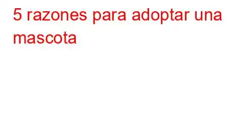 5 razones para adoptar una mascota