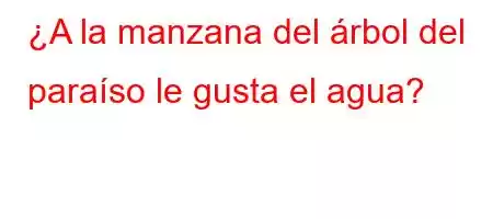 ¿A la manzana del árbol del paraíso le gusta el agua?