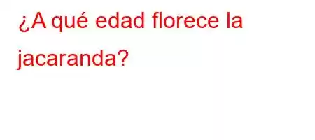 ¿A qué edad florece la jacaranda?