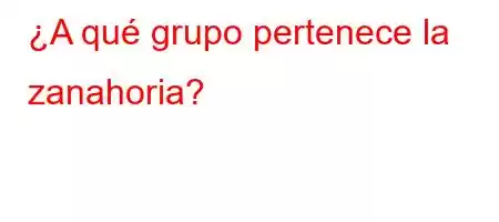 ¿A qué grupo pertenece la zanahoria?