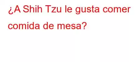 ¿A Shih Tzu le gusta comer comida de mesa?