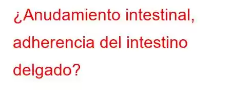 ¿Anudamiento intestinal, adherencia del intestino delgado?