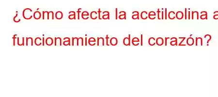 ¿Cómo afecta la acetilcolina al funcionamiento del corazón?