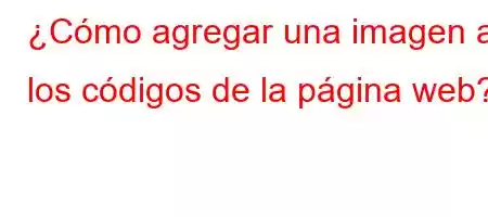 ¿Cómo agregar una imagen a los códigos de la página web