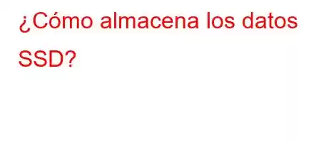 ¿Cómo almacena los datos SSD?