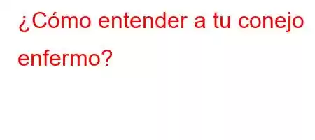 ¿Cómo entender a tu conejo enfermo?