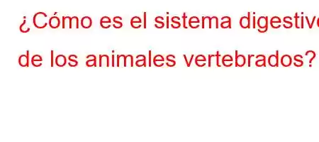 ¿Cómo es el sistema digestivo de los animales vertebrados