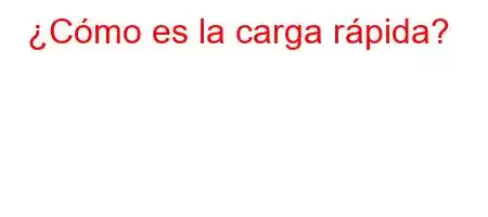 ¿Cómo es la carga rápida?