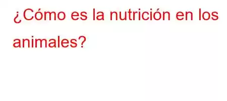 ¿Cómo es la nutrición en los animales?