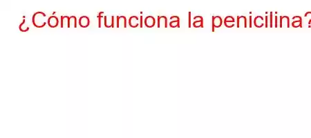 ¿Cómo funciona la penicilina?