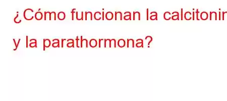 ¿Cómo funcionan la calcitonina y la parathormona