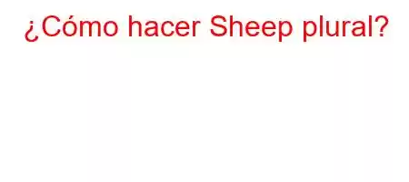 ¿Cómo hacer Sheep plural