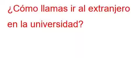 ¿Cómo llamas ir al extranjero en la universidad?