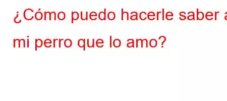 ¿Cómo puedo hacerle saber a mi perro que lo amo?