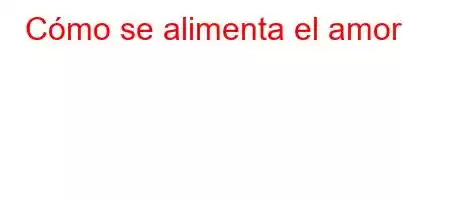 Cómo se alimenta el amor