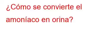 ¿Cómo se convierte el amoníaco en orina?