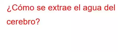 ¿Cómo se extrae el agua del cerebro?