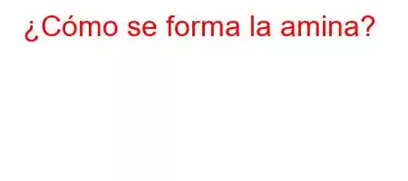 ¿Cómo se forma la amina?