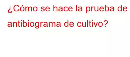 ¿Cómo se hace la prueba de antibiograma de cultivo?