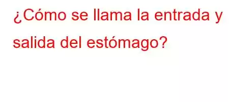 ¿Cómo se llama la entrada y salida del estómago