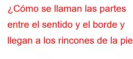 ¿Cómo se llaman las partes entre el sentido y el borde y llegan a los rincones de la piel?