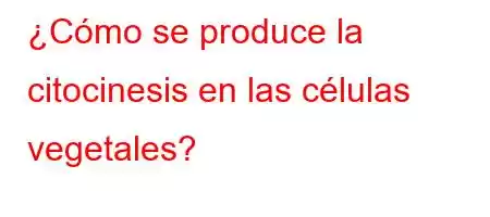 ¿Cómo se produce la citocinesis en las células vegetales