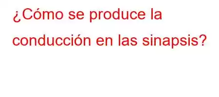 ¿Cómo se produce la conducción en las sinapsis?