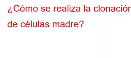 ¿Cómo se realiza la clonación de células madre