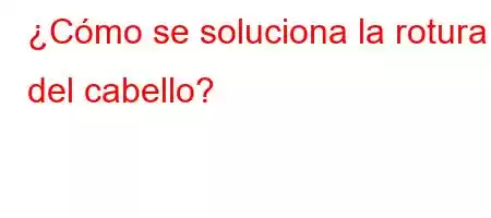 ¿Cómo se soluciona la rotura del cabello?