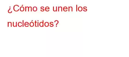 ¿Cómo se unen los nucleótidos