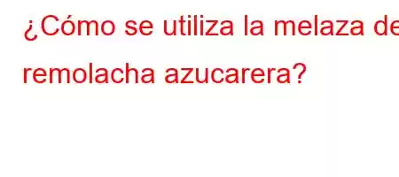 ¿Cómo se utiliza la melaza de remolacha azucarera?