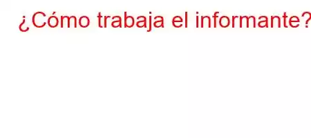 ¿Cómo trabaja el informante