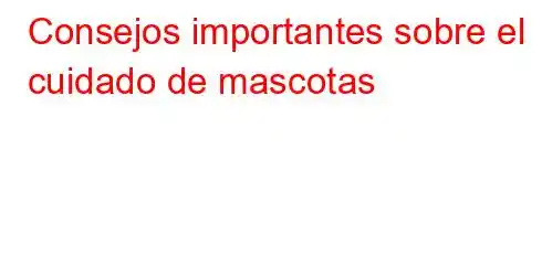 Consejos importantes sobre el cuidado de mascotas