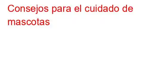 Consejos para el cuidado de mascotas