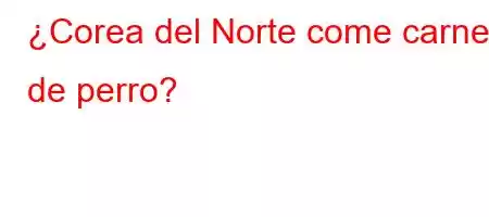 ¿Corea del Norte come carne de perro?