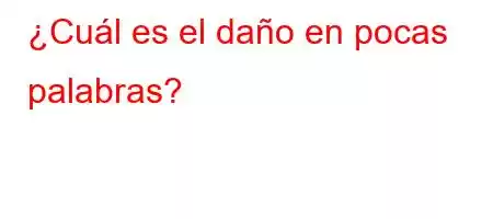 ¿Cuál es el daño en pocas palabras?