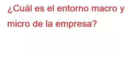 ¿Cuál es el entorno macro y micro de la empresa?