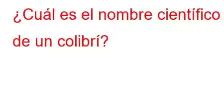 ¿Cuál es el nombre científico de un colibrí