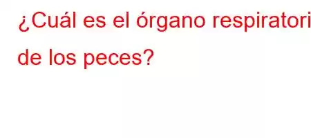 ¿Cuál es el órgano respiratorio de los peces