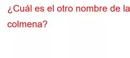 ¿Cuál es el otro nombre de la colmena?