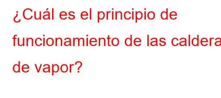 ¿Cuál es el principio de funcionamiento de las calderas de vapor?