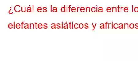 ¿Cuál es la diferencia entre los elefantes asiáticos y africanos?