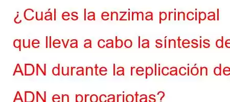 ¿Cuál es la enzima principal que lleva a cabo la síntesis de ADN durante la replicación del ADN en procariotas?