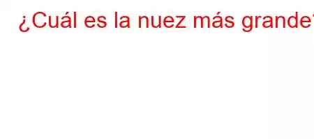 ¿Cuál es la nuez más grande?