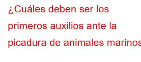 ¿Cuáles deben ser los primeros auxilios ante la picadura de animales marinos?