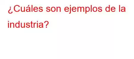 ¿Cuáles son ejemplos de la industria