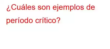 ¿Cuáles son ejemplos de período crítico?