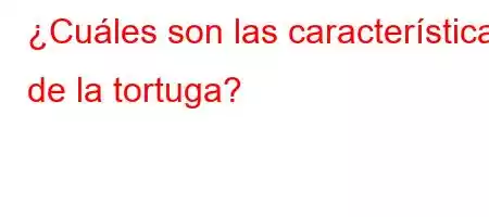 ¿Cuáles son las características de la tortuga?