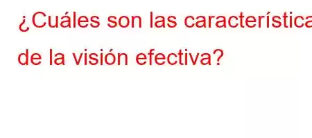 ¿Cuáles son las características de la visión efectiva?